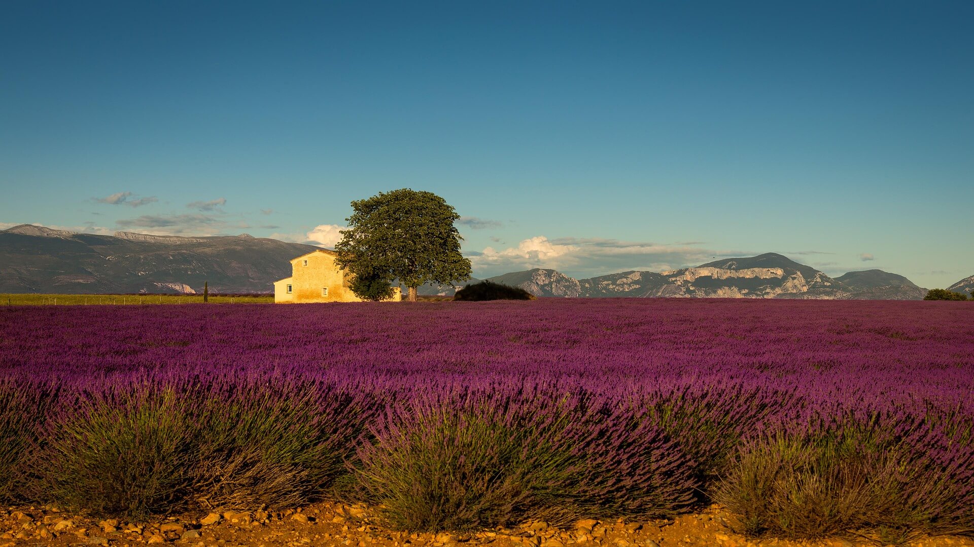 AF Westchester - Virtual Trip to France - Visit the Provence!